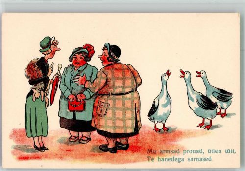Meine Damen das sind die wirklichen Gänse Humor