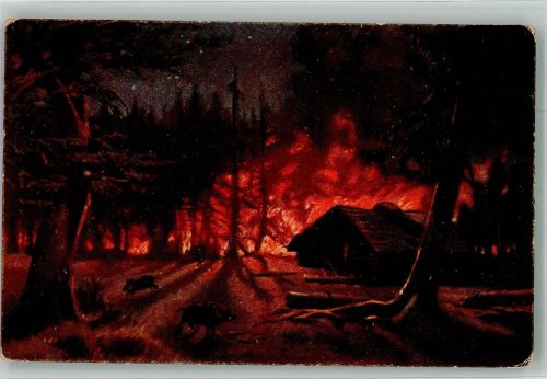 Waldbrand S. u. G.S.i.B. No. 1524/3 Naturereignis Künstlerkarte