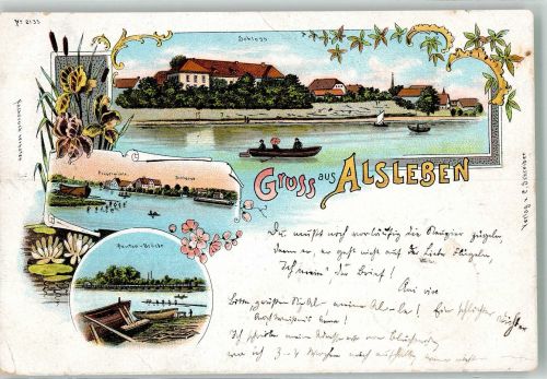 06425 O4342 Alsleben 1899 Lithographie Schloss Alsleben Ponton-Brücke Schleuse