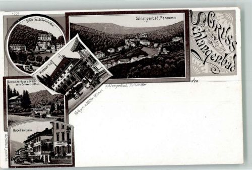 65388 W6229 Schlangenbad , Taunus Lithographie Verläufer Druck um 1890 Schweizertal Schweizerhaus Mühle Nassauer Hof Hotel Victoria