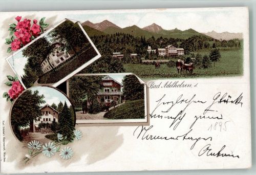83313 W8227 Bad Adelholzen , Kr Traunstein, Oberbay 1895 - Verläufer Druck um 1890 Rinderweide Villa