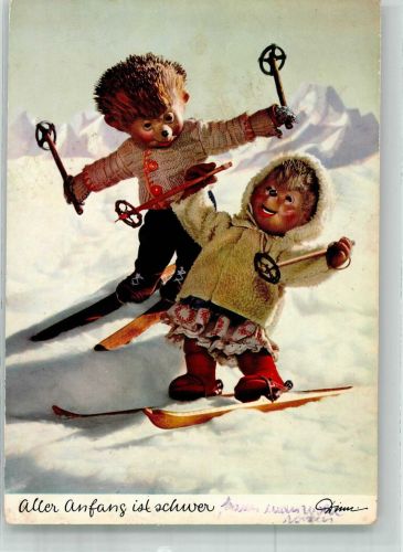 Mecki und Igelfrau beim Skifahren Verlag für Kunstfreunde 329 Mecki Foto AK