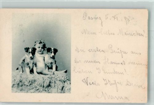 W8000 Pasing Kleines Kind mit zwei Hunden Hutmode Ort lt. Stempel Welpe 1898 Privatfoto AK
