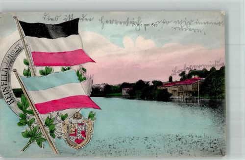 23858 W2067 Reinfeld Holstein 1910 - Am See Flaggen Wappen