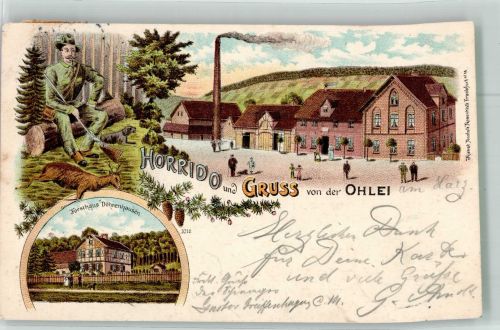 38704 W3384 Liebenburg 1898 Lithographie Gasthaus zur Ohlei Jäger Rehbock Forsthaus Döhrenhausen