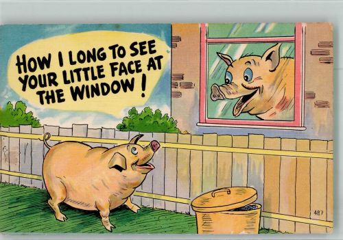 Verliebter Eber erspäht seine Liebste am Fenster Tiere vermenschlicht Humor Schwein Künstlerkarte