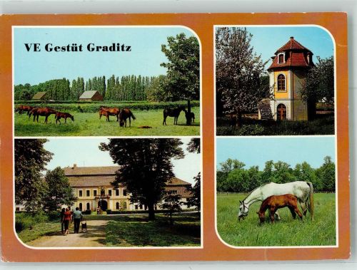 O7291 Graditz VE Gestüt Graditz Fotograf Blume VEB Bild und Herimat Pferd Foto AK