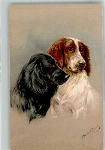 sign. Moody, Fannie Portrait zweier Hunde Spaniel 1927 Künstlerkarte