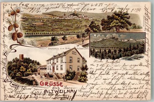 61276 W6395 Altweilnau 1903 Lithographie Gasthaus zur Burg Burgturm Tannenzapfen