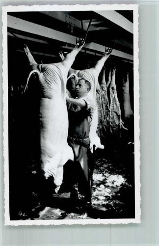 Metzger Zerlegung von einem Schwein Fleischerei 1955 Privatfoto AK