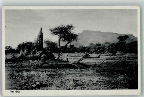 Deutschland braucht Kolonien Am Etjo Deutsch-Südwest Afrika Kolonien 1930