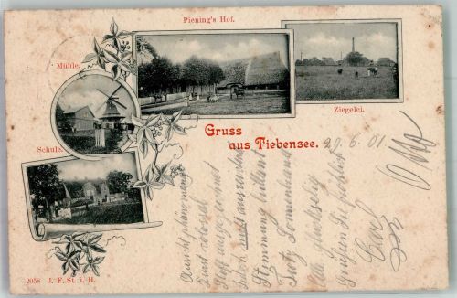 25764 W2241 Tiebensee 1901 - Hof von Piening Windmühle Schule Ziegelei