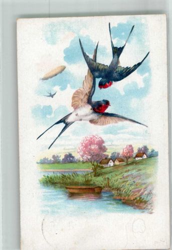 Rauchschwalben im Flug über Frühlingslandschaft Schwalbe 1922 Künstlerkarte