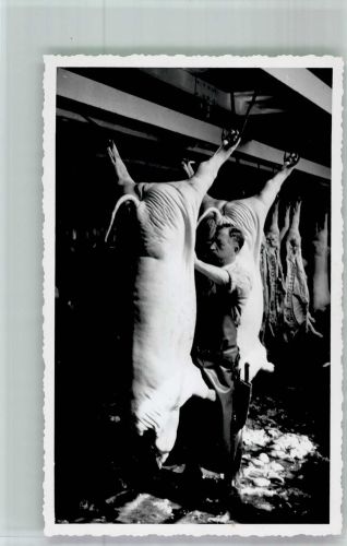 Beruf Schwein wird geschlachtet und zerlegt Fleischerei Privatfoto AK