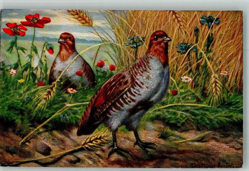 sign. Müller Lendeck Rebhühner Jagdtiere Serie 260 Geflügel 1900