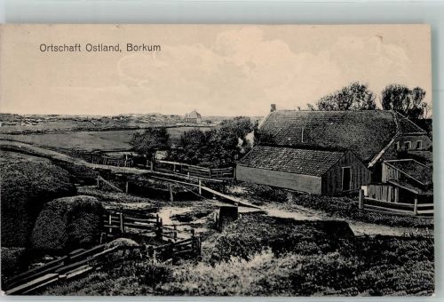 26757 W2972 Borkum 1917 - Ostland Dorf Fotograf Wessels Feldpost WK I 1. Landsturm-Inf.-Batl. Hameln Zensurstempel