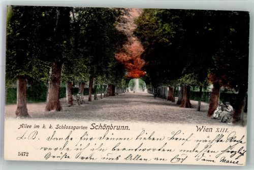1130 Wien 13. Bezirk, Hietzing 1903 Foto AK Schloss Garten Schönbrunn
