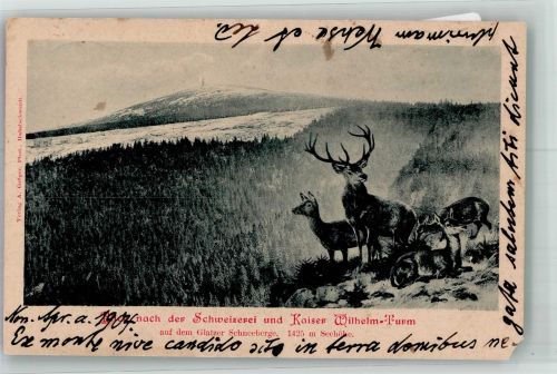 Decinsky Sneznik Hoher Schneeberg Gebrauchsspuren Glatzer Schneeberg Hirsch Kaiser Wilhelm Turm