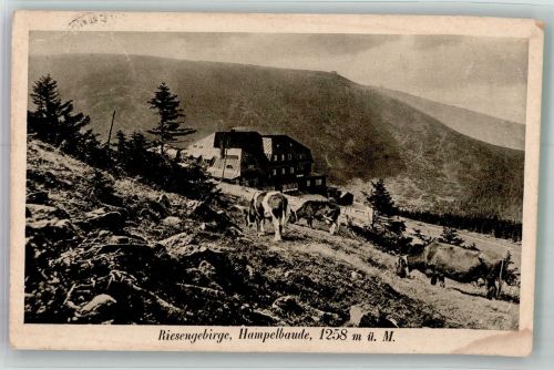 Hampelbaude 1934 Gebrauchsspuren Riesengebirge