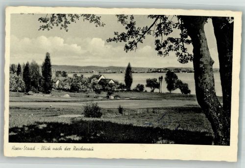78343 W7766 Horn , Baden Foto AK Blick nach der Reichenau