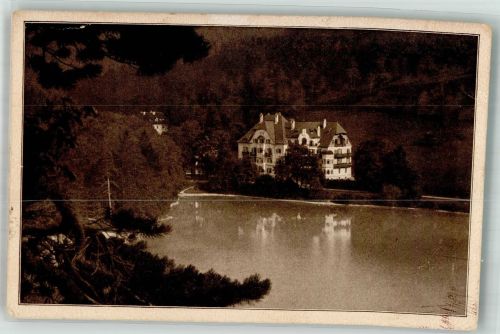 87645 W8959 Hohenschwangau Foto AK Hotel Pension Alpenrose