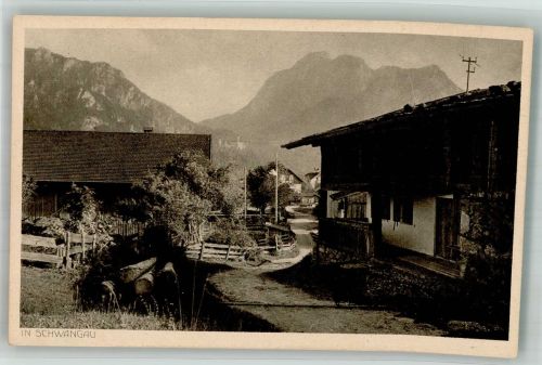 87645 W8959 Schwangau Foto AK