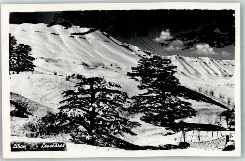 Beirut Winter Ort lt. Verlag The Cedars