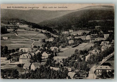 Bad Flinsberg Swieradow-Sdroj 1924 Foto AK