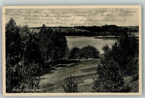 Luggewiese Lubowidz 1914 Foto AK Lubover See