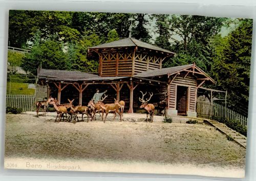 Bern Berne Hirschpark Zoo 1912