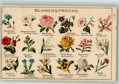 Blumensprache 1918 Prägedruck