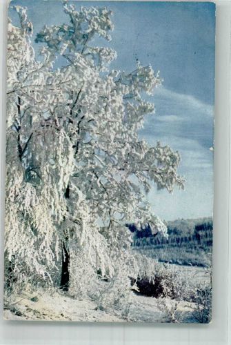 Winter Raureif F.Ph.G. No. 2536 Farben Fotos 1915