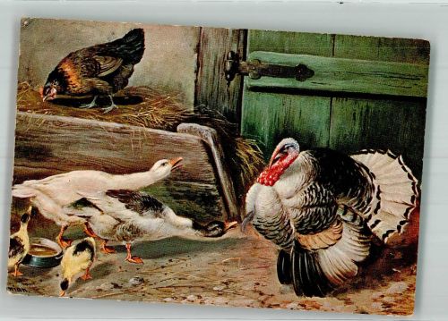Puter Huhn Gänse Küken K.V.B. Serie 8001 Schönian, A. 1910 Künstlerkarte