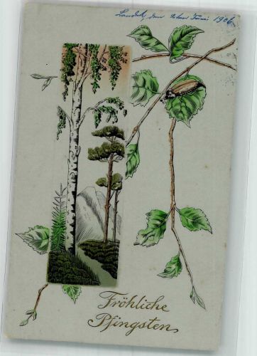 Birke Pfingsten 1906 Prägedruck