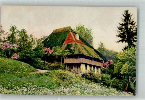 NZG Serie 95 Bauernhaus