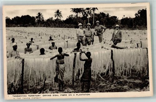 Daressalam Foto AK Sisal trocknen Plantage