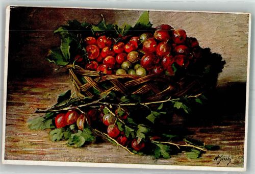 sign. Giesler A. Stachelbeeren Wohlgemuth u. Lissner Nr. 1162 Stillleben 1923 Künstlerkarte