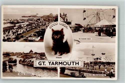 Norfolk Foto AK Katze Marine Parade Wellington Pier Great Yarmouth