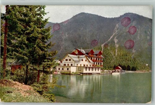 Breitenwang Hotel Forelle Plansee Novitas Nr. 1455 Farben Fotos