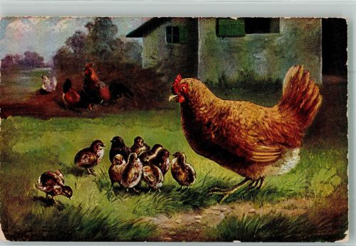 Henne m. Küken Müller, A. (München) Künstlerkarte
