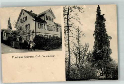 75305 W7540 Neuenbürg , Württ Gebrauchsspuren Forsthaus Schwann VS. Abschürfung
