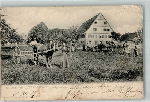 72280 W7295 Lattenberg , Württ 1909 Gebrauchsspuren Jungviehweide Bauern Pferdepflug Kl. Stauchungen