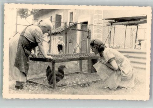Frauen Huhn
