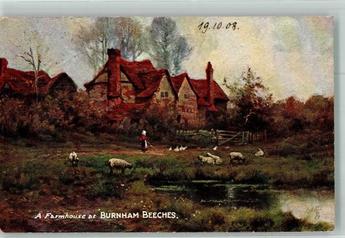 sign. Breanski A. de Oilette Burnham Beeches Postcard 9543 Tucks 1908 Künstlerkarte