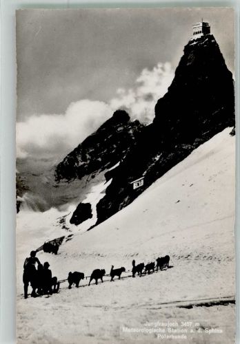Polarhunde Jungfraujoch Hundeschlitten