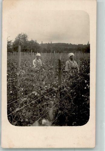 Erntehelferinnen Gartenbau