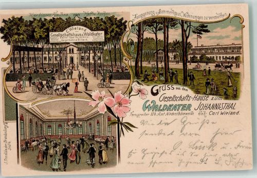 10115 O1190 Niederschöneweide 1903 Lithographie Johannistal Gasthaus zum Waldkater Ballsaal Gartenwirtschaft