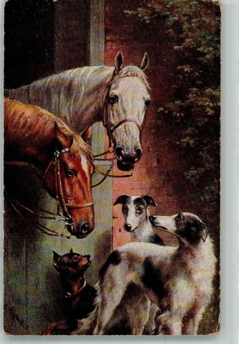 sign. Reichert Zwei Pferde schauen auf drei Hunde hinab T.S.N. Serie 1606 Windhund Künstlerkarte