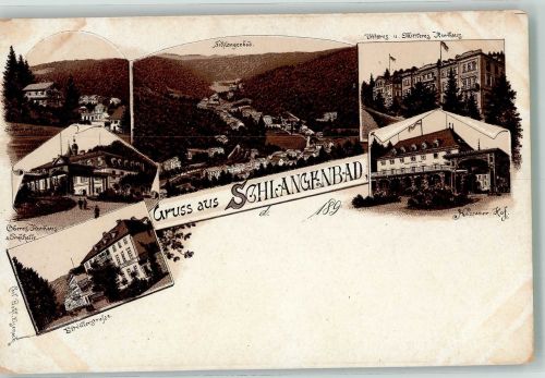 65388 W6229 Schlangenbad , Taunus Lithographie Verläufer Druck um 1890 Oberes Kurhaus Trinkhalle Gasthaus Nassauer Hof Unteres und Hinteres Kurhaus