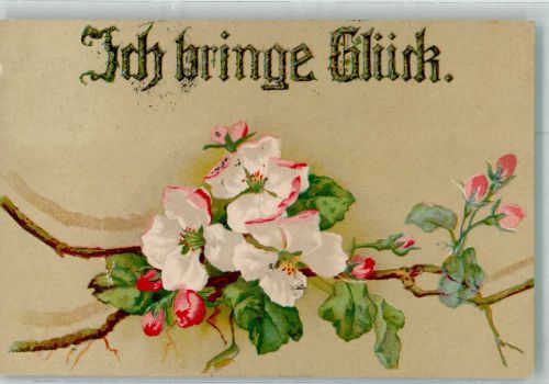 Ich bringe Glück Apfelblütenzweige Blumensprache Prägedruck